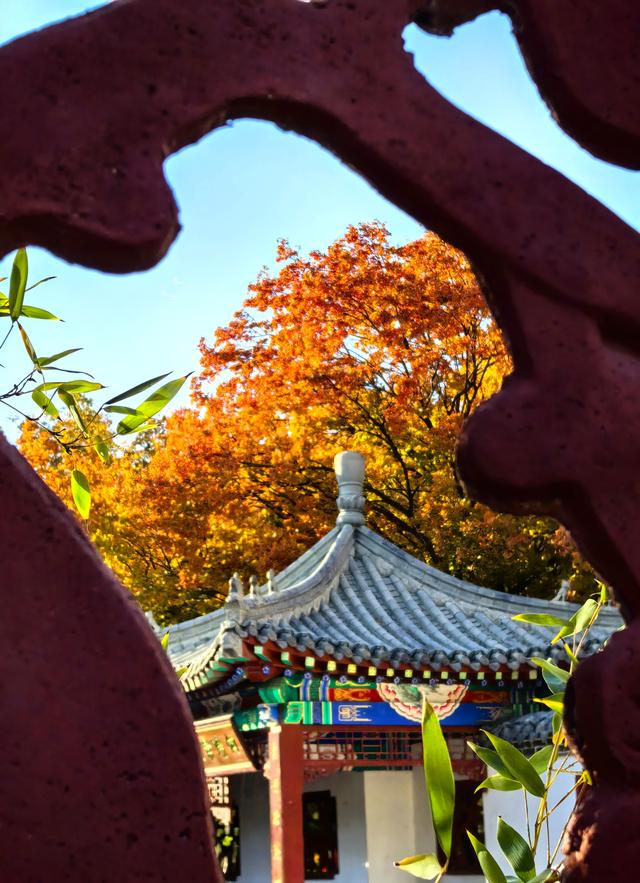 半烟火半诗意：潍坊园林的美，从不被定义