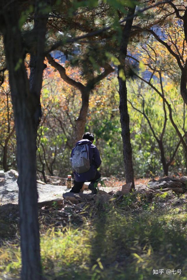 在八大处，寻到了北京最美的秋