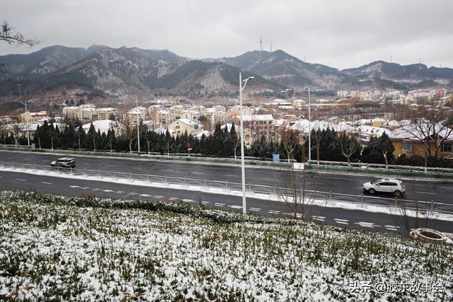 随手拍：打卡雪后的烟台“竹林路”