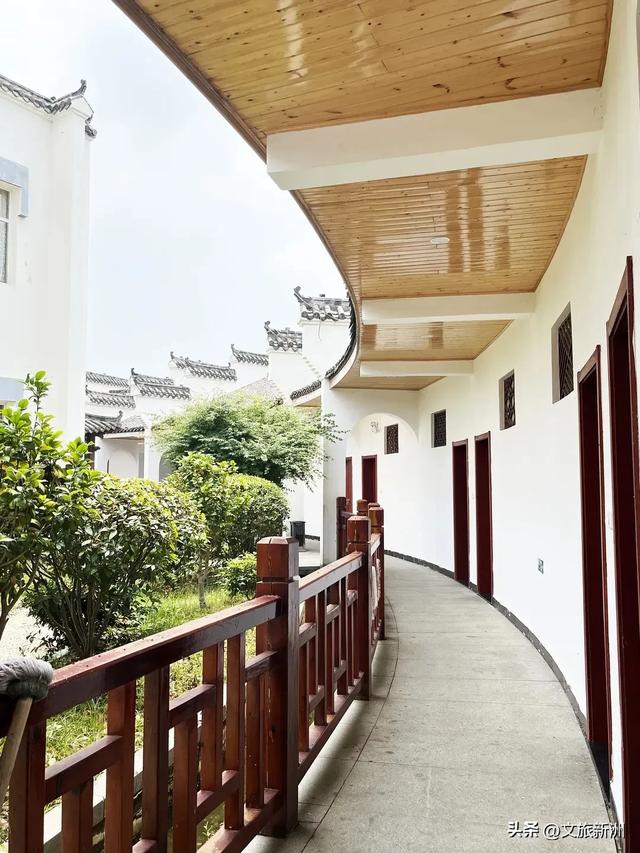 冬日“甜妹”C位出道!新洲草莓采摘指南来啦~