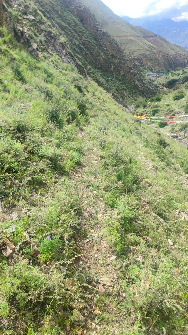 拉萨天堂草原没有草原，或许山上的草就是所谓草原