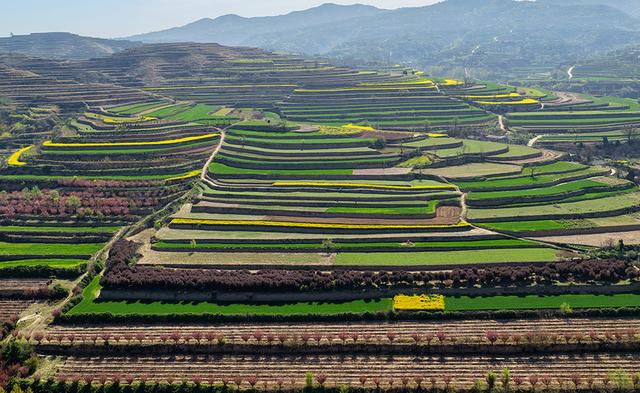 【视觉临汾】山西襄汾：山乡春色 秀美梯田