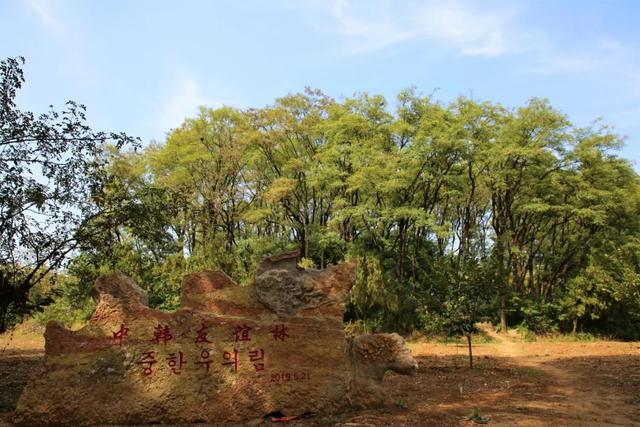 地名里的峄城:娘娘坟村