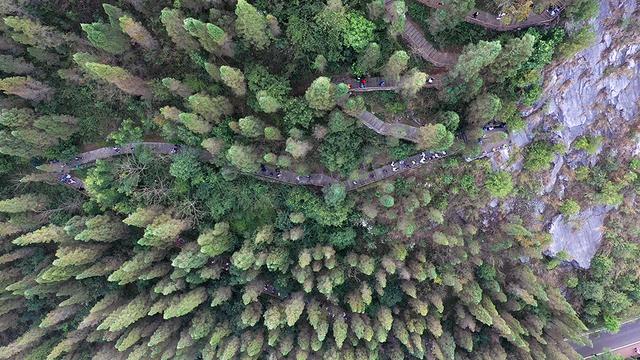 马踏春风登万峰·龙马精神启新年丨2026万峰林新春徒步活动举行