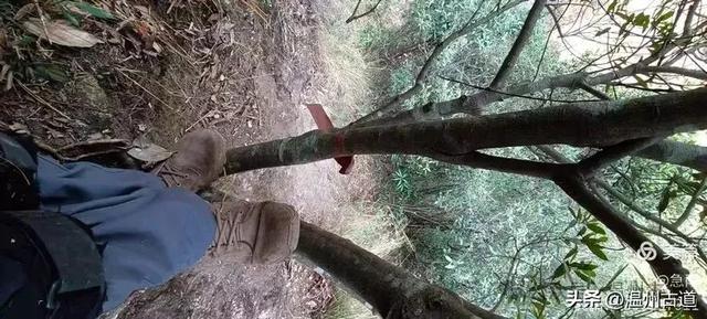 环浙步道上的小众穿越秘境，这条充满挑战的徒步环线你可去过？
