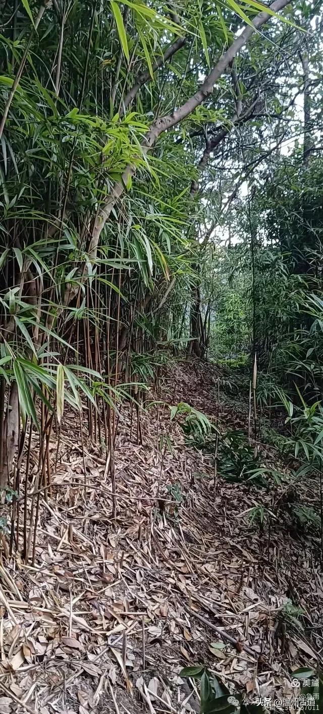 环浙步道上的小众穿越秘境,这条充满挑战的徒步环线你可去过?