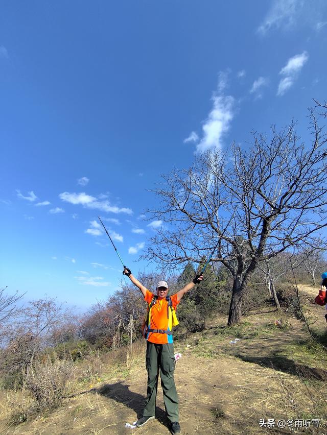 又见山山红叶飞