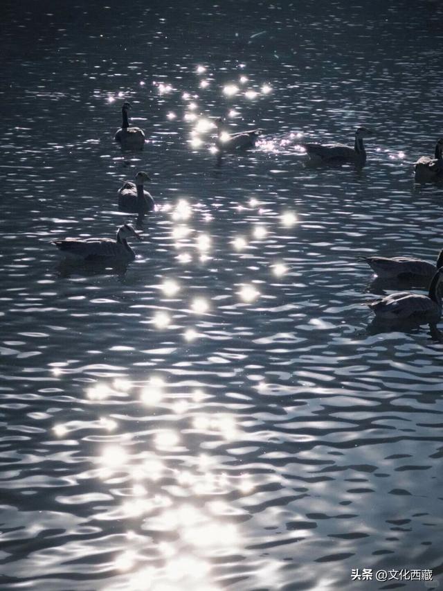 结冰后，美成油画！你见过这样的拉萨吗？