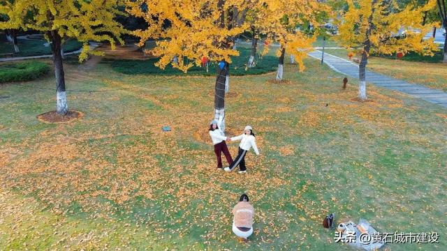 限时绝美!黄石街头颜值巅峰 周末来打卡