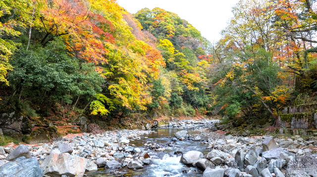 宝子你听我说，近期天气好、红叶美，光雾山可以冲了!