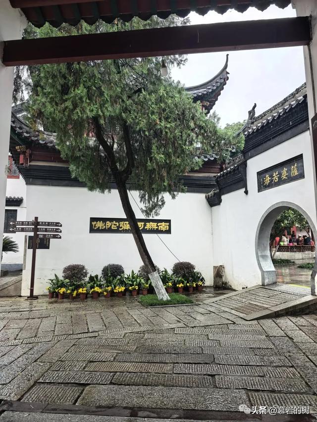 再游归元寺（归元禅寺），恰逢水陆普度大会