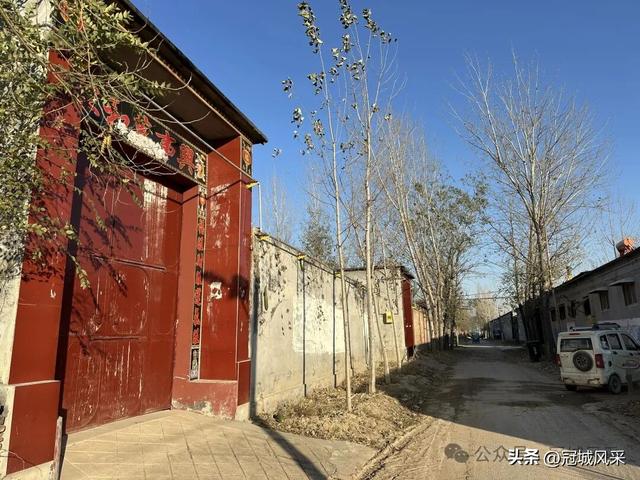 冠县乡韵·贾镇荆楼村