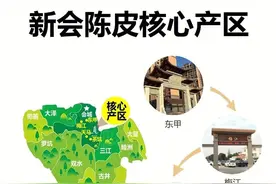 东甲、天马、茶坑的陈皮该怎么选？图片