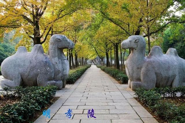 南 京 江苏省省会