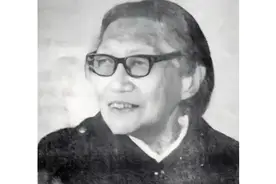 1995年，91岁沈阳老奶奶自爆身份：我是国民党一直追杀的军火大盗图片