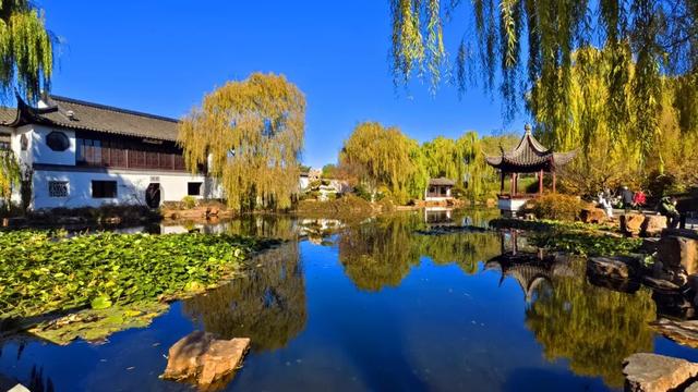 发现丰台之美 | 秋末冬初 落叶静美🧡