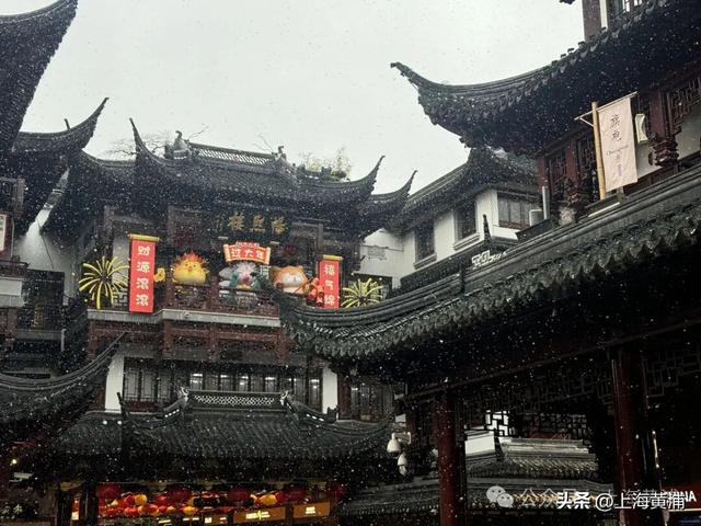 雪落豫园，绘就江南诗意画卷