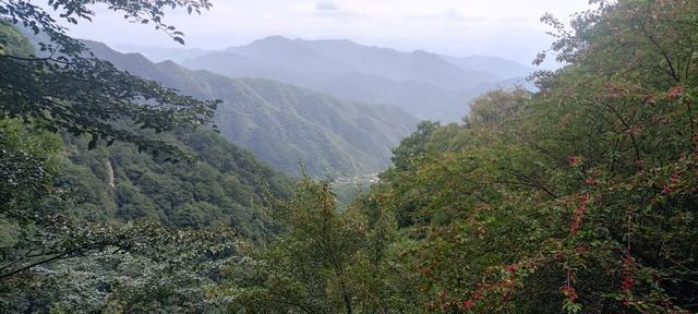 王顺山观景台风光