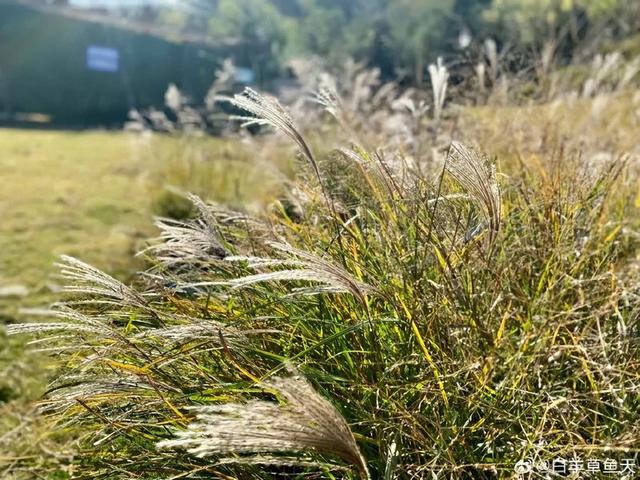 2025四季巡礼！100位寻美客邀你共绘最美泉城图鉴