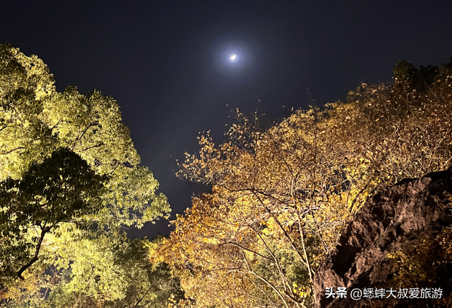 来杭州西湖边名山吧，10分钟登顶，日游夜逛均免费，还可一眼西湖
