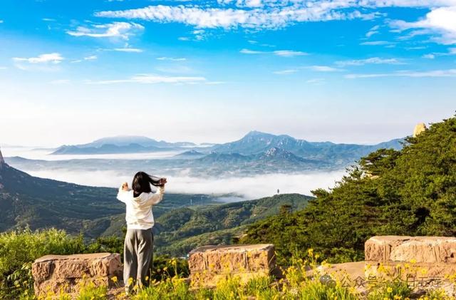 连续三天!五莲这些人免票!