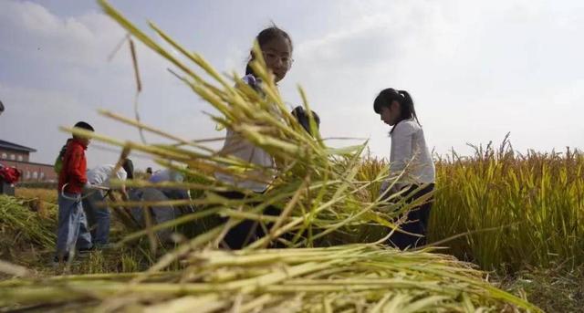 围炉煮茶、打铁花、露天电影……长春这里假期超热闹