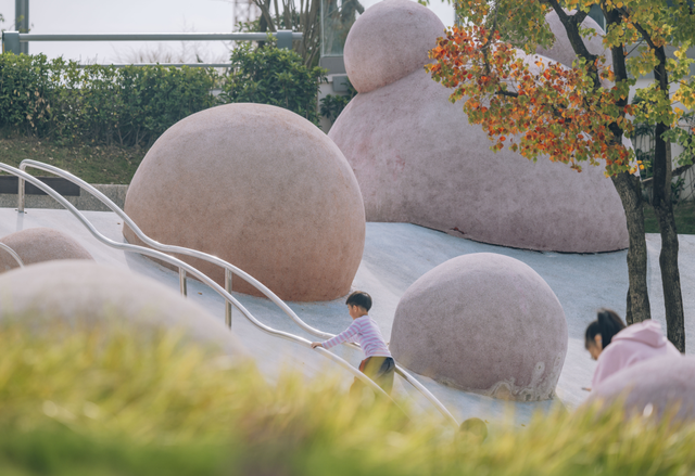 锦江公园秋意浓！红枫银杏作点缀，行走坐卧皆是诗~