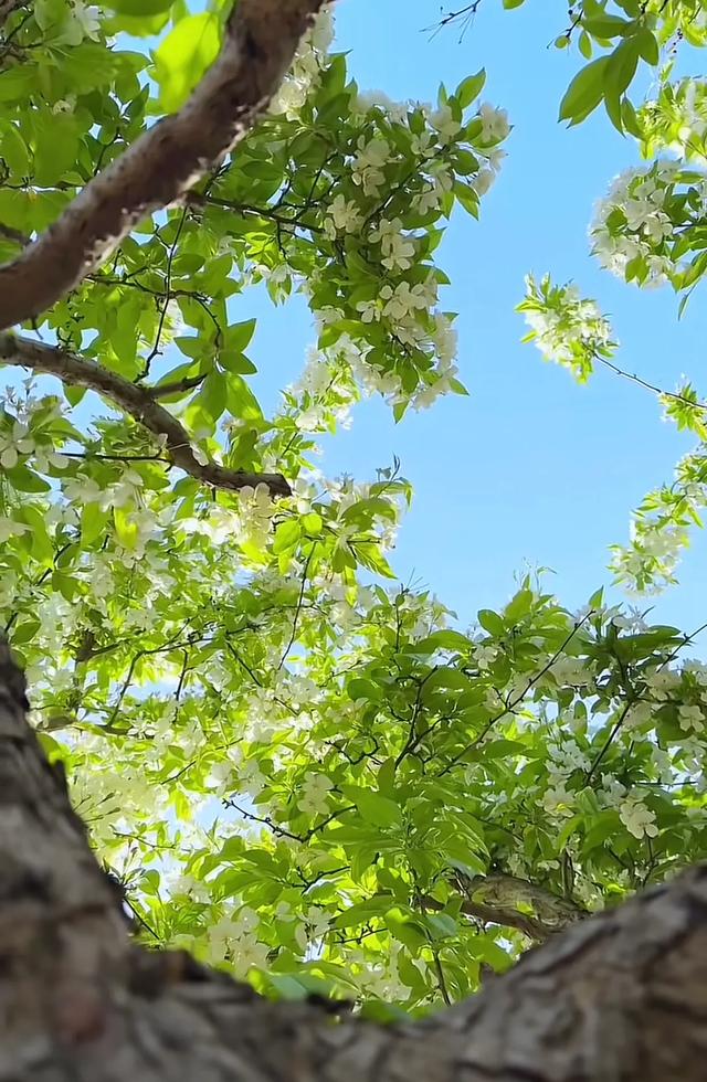 净化心灵的风景壁纸