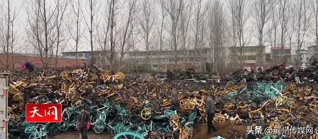 11人偷共享单车上万辆，拆解后每辆赚200元，因偷车速度太快，收赃人反欠20多万……