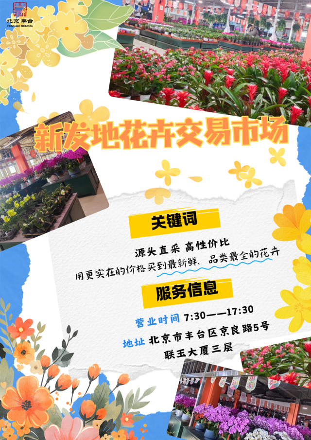 丰台这7家宝藏花卉市场，承包你冬日的盎然“生机”