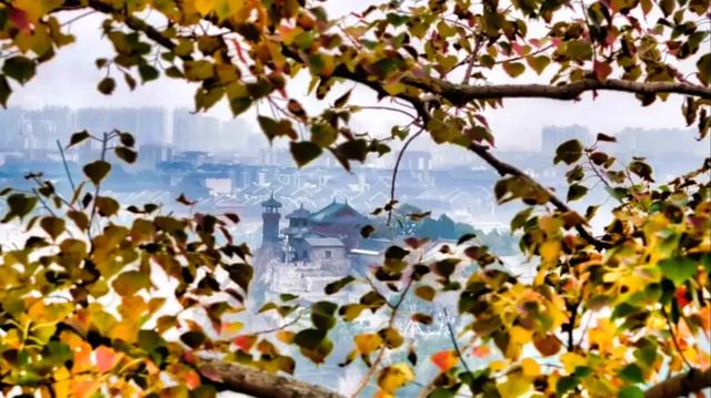 @everyone,初冬来老北山撒欢吧!