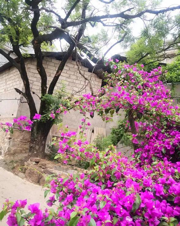地名故事|南方丝绸之路进入永平的第六铺——黑油铺