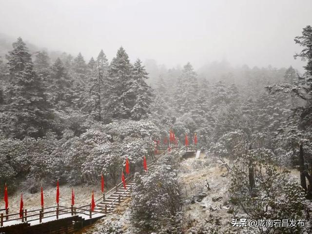雷古山初雪：云端之上的冰雪絮语