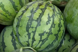 双流太平镇赶场，赶上一个水果盛世图片