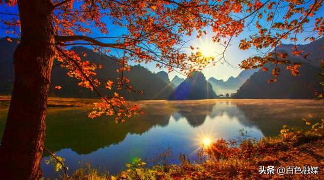 教师节快乐！教师免费畅游百色这些景区，同行人员也有优惠！