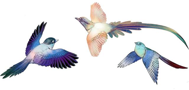 观鸟季来啦！在西安赴一场与候鸟的约会