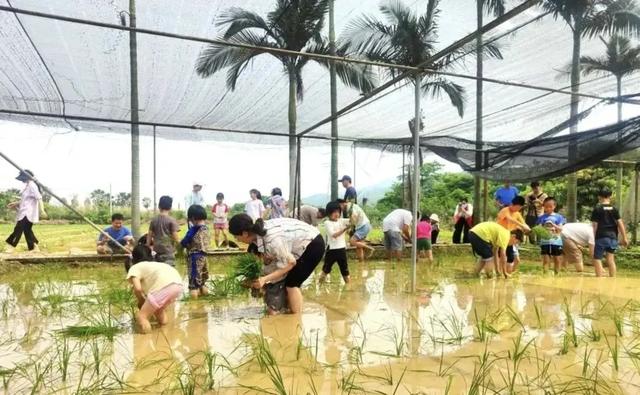 定了！就带孩子来肇庆玩吧！这些地方获省级推荐→