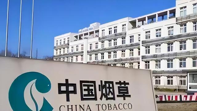 谁都跑不了！倒查风暴已经席卷全国，靠关系吃饭的时代要结束了？