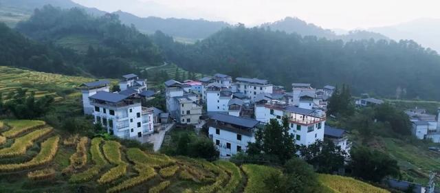 在连山，如何让一片梯田重获新生