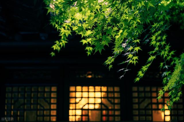 江浙沪"小而美"博物馆，90%的人都没去过，你知道几个？