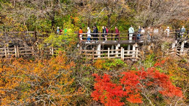 赏秋正当时！自驾来汉中，赴一场秋日视觉盛宴~