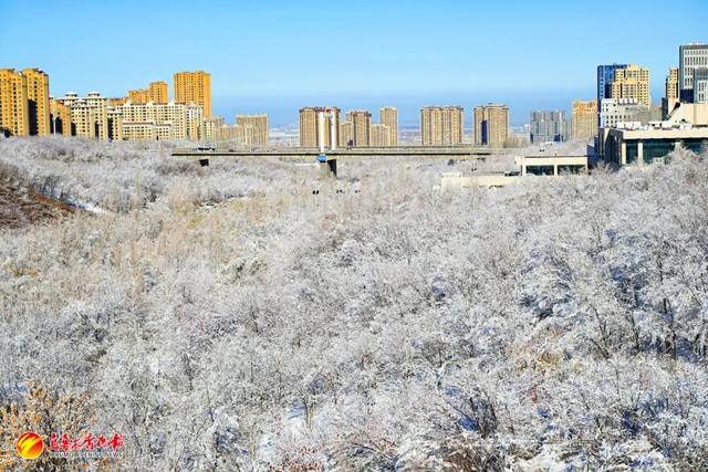 听我的，雪后的乌鲁木齐，真的能治愈一切！