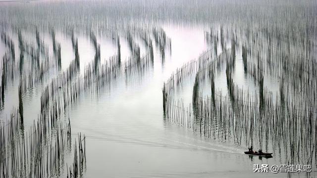水墨国画，诗意霞浦