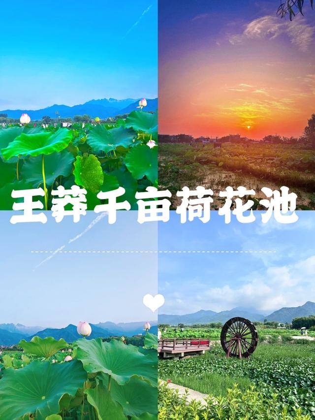 西安1h达周边游！全部免费 | 自驾周末好去处！