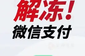 批量冻结支付功能，是暗箱操作还是官官相护？图片