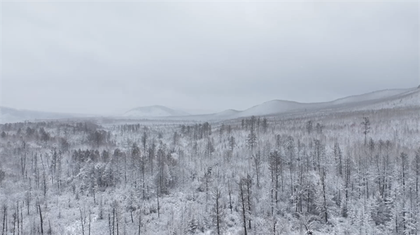 漠河下雪了