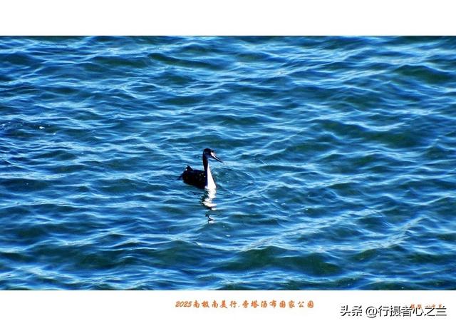 南极南美三国行游影记（79）—阿根廷旁塔汤布国家公园（六）