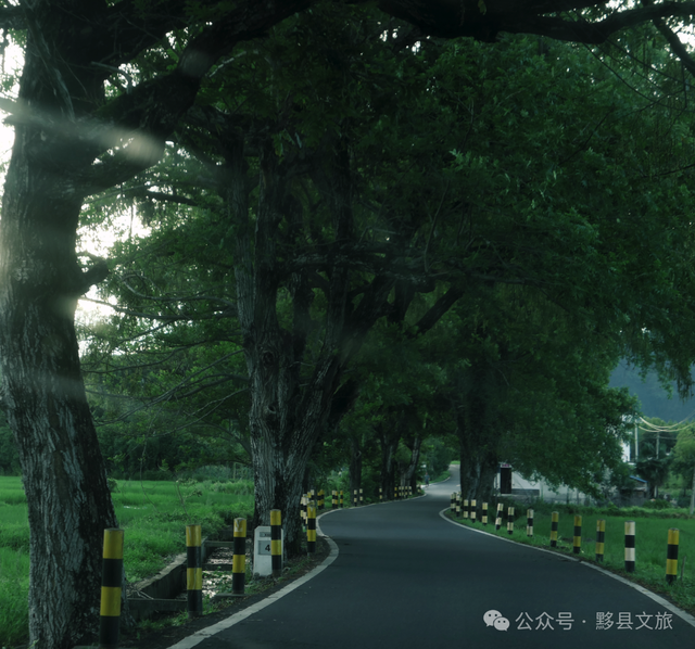 归来吧，我们在黄山黟县等你重新出发｜皖美夏日