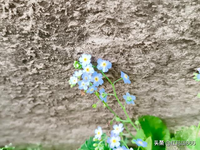 酷暑炎炎,到蔚县大南山避暑,一条免费的自然风光游路线真不错