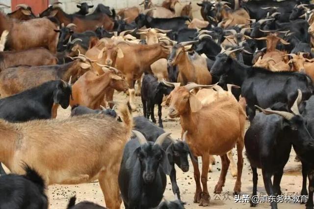 曲靖风物特产合集